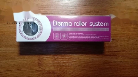 2019 Top Selling Micro Needle 540 Derma Roller